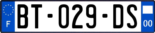 BT-029-DS