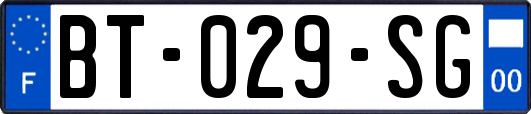 BT-029-SG