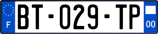 BT-029-TP