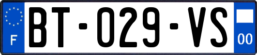 BT-029-VS