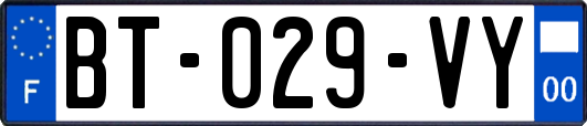 BT-029-VY