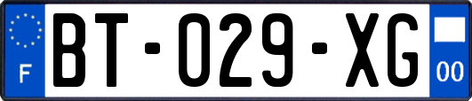 BT-029-XG