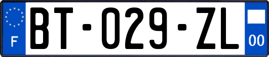 BT-029-ZL