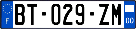 BT-029-ZM