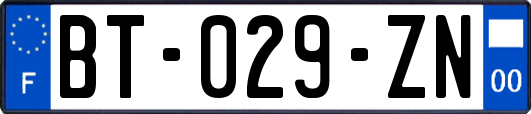 BT-029-ZN