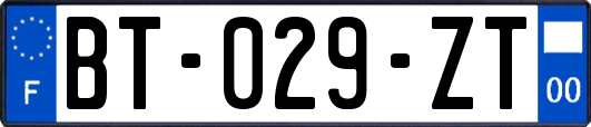 BT-029-ZT