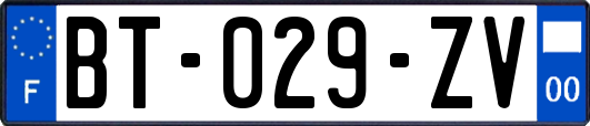 BT-029-ZV