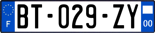 BT-029-ZY