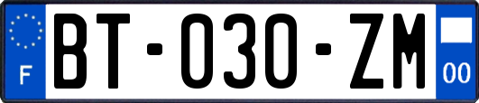 BT-030-ZM