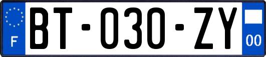 BT-030-ZY