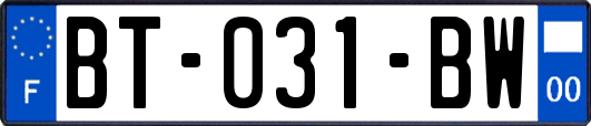 BT-031-BW