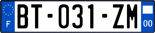 BT-031-ZM