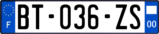 BT-036-ZS