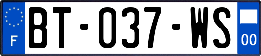 BT-037-WS