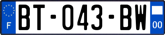 BT-043-BW