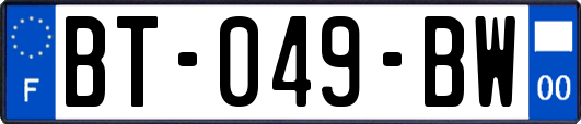 BT-049-BW