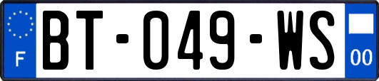 BT-049-WS