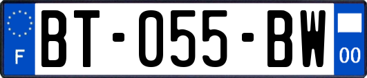 BT-055-BW