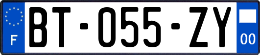 BT-055-ZY