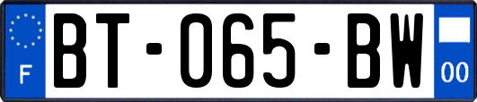 BT-065-BW