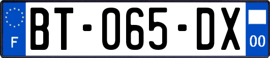 BT-065-DX