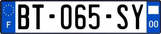 BT-065-SY