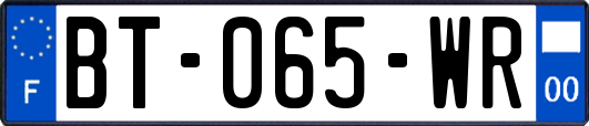 BT-065-WR