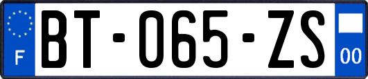 BT-065-ZS