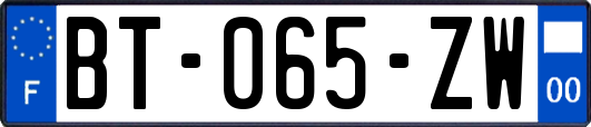 BT-065-ZW