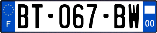 BT-067-BW