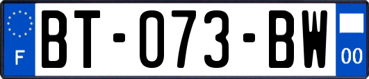 BT-073-BW