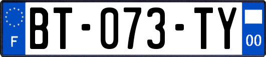 BT-073-TY