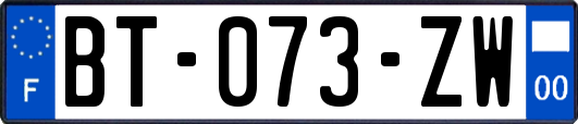 BT-073-ZW