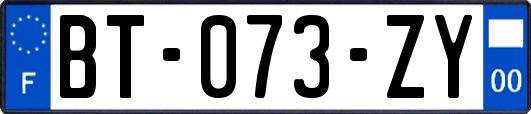 BT-073-ZY