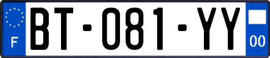 BT-081-YY