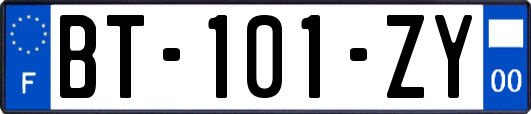 BT-101-ZY