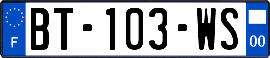 BT-103-WS