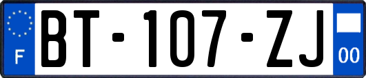 BT-107-ZJ