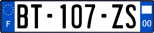 BT-107-ZS