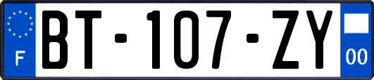 BT-107-ZY