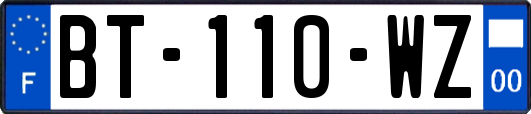 BT-110-WZ