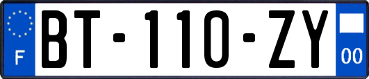 BT-110-ZY