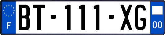 BT-111-XG