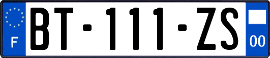 BT-111-ZS