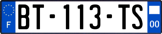 BT-113-TS