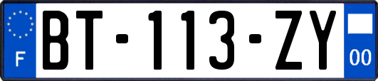 BT-113-ZY