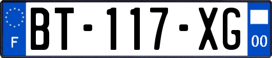 BT-117-XG