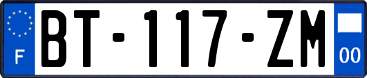 BT-117-ZM