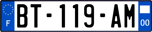 BT-119-AM