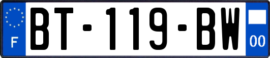 BT-119-BW